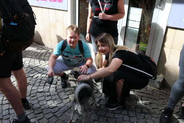 43. Volkslauf "Rund um Bornheim mit Kind und Kegel" 2024