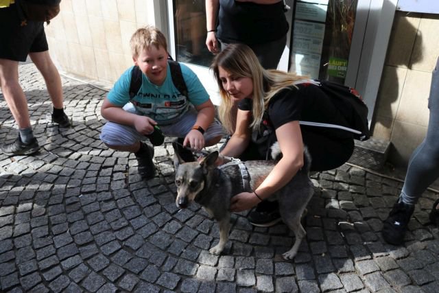 43. Volkslauf "Rund um Bornheim mit Kind und Kegel" 2024