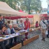 43. Volkslauf "Rund um Bornheim mit Kind und Kegel" 2024